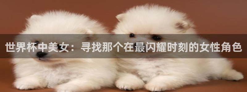 世界杯欧洲预选赛赛程:世界杯中美女:寻找那个在最闪耀时刻的女性角色