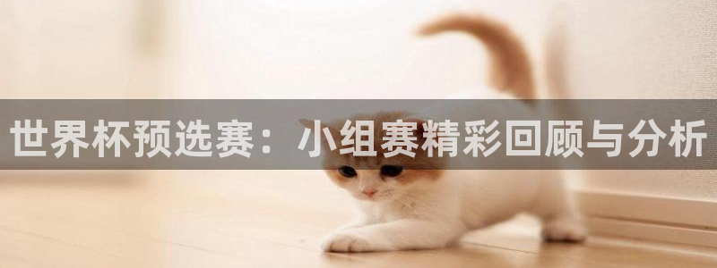 亚洲杯比赛直播：世界杯预选赛：小组赛精彩回顾与分析