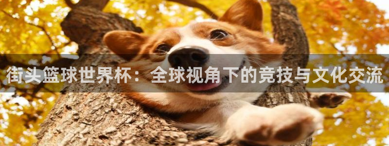 世界杯官网入口：街头篮球世界杯：全球视角下的竞技与文化交流