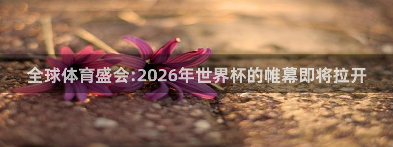 世界杯足球赛：全球体育盛会:2026年世界杯的帷幕即将拉开