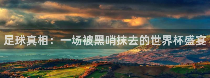 世界杯附加赛赛程表：足球真相：一场被黑哨抹去的世界杯盛宴