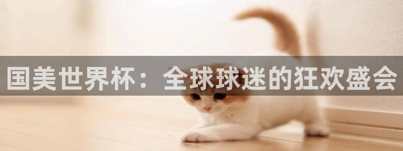 欧联杯直播：国美世界杯：全球球迷的狂欢盛会