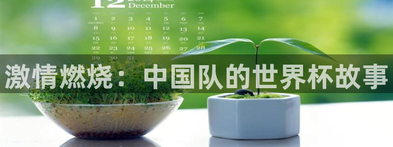 2026世界杯直播免费观看：激情燃烧：中国队的世界杯故事