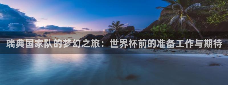 世界杯欧洲预选赛赛程：瑞典国家队的梦幻之旅：世界杯前的准备工作与期待