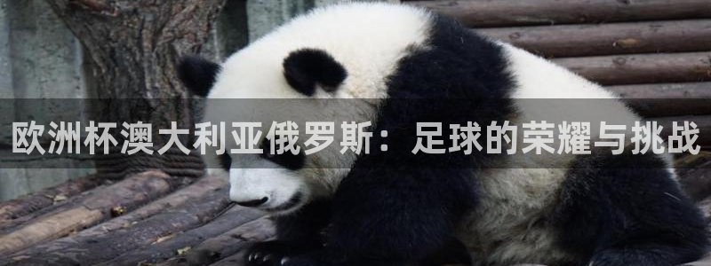 2026世界杯赛程：欧洲杯澳大利亚俄罗斯：足球的荣耀与挑战