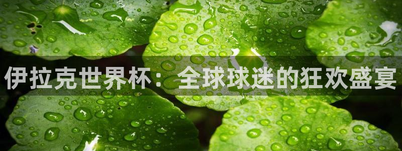 2026世界杯欧洲预选赛赛程表：伊拉克世界杯：全球球迷的狂欢盛宴