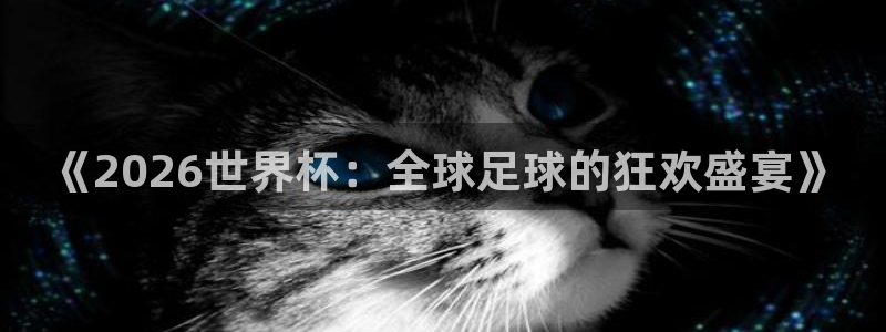 2026年世界杯对阵图：《2026世界杯：全球足球的狂欢盛宴》
