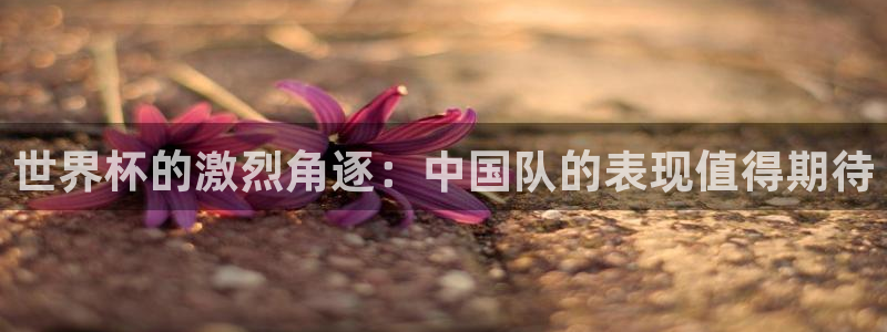 2026世界杯德国队阵容：世界杯的激烈角逐：中国队的表现值得期待